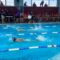 10η κολυμβητική ημερίδα από το ΡΟΔΙΩΝ άθλησις